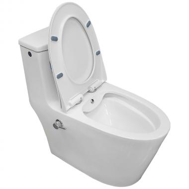 Унитаз Bloomix Lowe MT3101RSB/UF1 Ceramic+ моноблок безободковый с функцией биде и смесителем