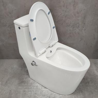 Унитаз Bloomix Lowe MT3101RSB/UF1 Ceramic+ моноблок безободковый с функцией биде и смесителем