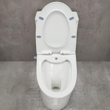 Унитаз Bloomix Lowe MT3101RSB/UF1 Ceramic+ моноблок безободковый с функцией биде и смесителем