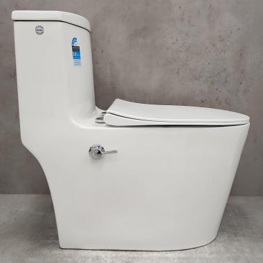 Унитаз Bloomix Lowe MT3101RSB/UF1 Ceramic+ моноблок безободковый с функцией биде и смесителем