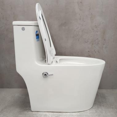 Унитаз Bloomix Lowe MT3101RSB/UF1 Ceramic+ моноблок безободковый с функцией биде и смесителем