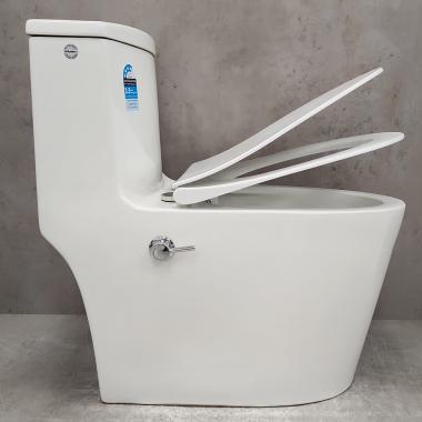 Унитаз Bloomix Lowe MT3101RSB/UF1 Ceramic+ моноблок безободковый с функцией биде и смесителем