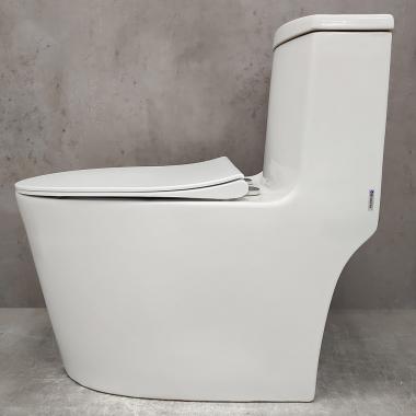 Унитаз Bloomix Lowe MT3101RSB/UF1 Ceramic+ моноблок безободковый с функцией биде и смесителем