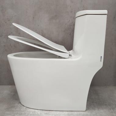 Унитаз Bloomix Lowe MT3101RSB/UF1 Ceramic+ моноблок безободковый с функцией биде и смесителем