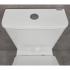 Унитаз Bloomix Alan 1219SB bidet black безободковый с функцией биде и смесителем