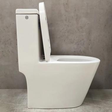 Унитаз Bloomix Prima MD5076R/UF2 Ceramic+ моноблок безободковый