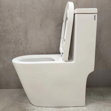 Унитаз Bloomix Prima MD5076R/UF2 Ceramic+ моноблок безободковый