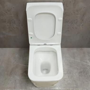 Унитаз Bloomix Terra MD2323R/UF3 Ceramic+ моноблок безободковый