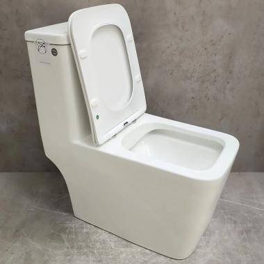 Унитаз Bloomix Terra MD2323R/UF3 Ceramic+ моноблок безободковый