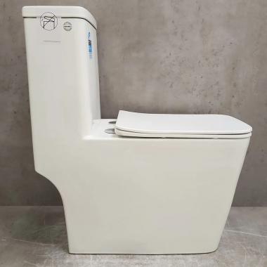 Унитаз Bloomix Terra MD2323R/UF3 Ceramic+ моноблок безободковый