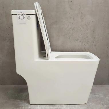 Унитаз Bloomix Terra MD2323R/UF3 Ceramic+ моноблок безободковый