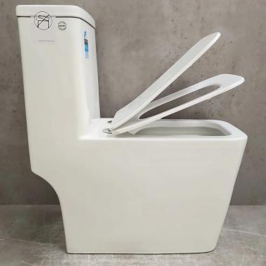 Унитаз Bloomix Terra MD2323R/UF3 Ceramic+ моноблок безободковый