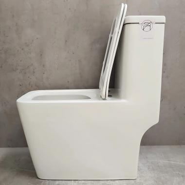 Унитаз Bloomix Terra MD2323R/UF3 Ceramic+ моноблок безободковый