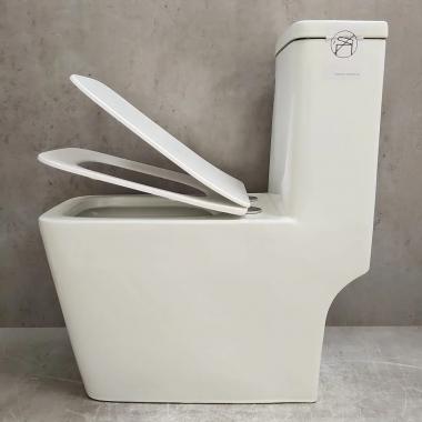 Унитаз Bloomix Terra MD2323R/UF3 Ceramic+ моноблок безободковый