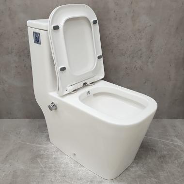 Унитаз Bloomix S-Line 2324SB/UF3 моноблок безободковый с функцией биде и смесителем