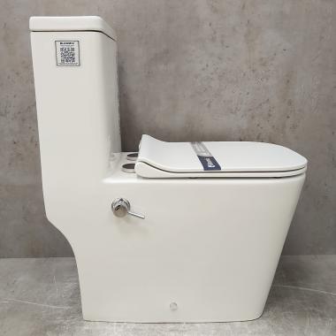 Унитаз Bloomix S-Line 2324SB/UF3 моноблок безободковый с функцией биде и смесителем