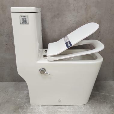 Унитаз Bloomix S-Line 2324SB/UF3 моноблок безободковый с функцией биде и смесителем