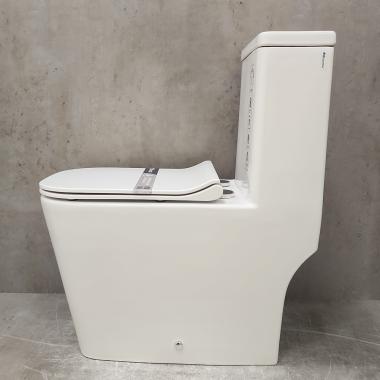 Унитаз Bloomix S-Line 2324SB/UF3 моноблок безободковый с функцией биде и смесителем