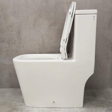 Унитаз Bloomix S-Line 2324SB/UF3 моноблок безободковый с функцией биде и смесителем