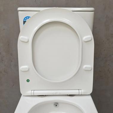 Унитаз Bloomix Salchow 3.0 AD3093TSB/UF1 Ceramic+ безободковый торнадо с функцией биде и смесителем