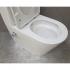Унитаз Bloomix Salchow 3.0 AD3093TSB/UF1 Ceramic+ безободковый торнадо с функцией биде и смесителем