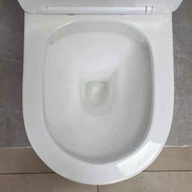 Унитаз Bloomix Prime F2071SR/UF1 Ceramic+ безободковый с раковиной