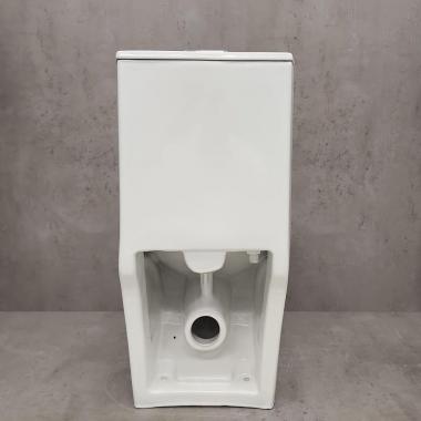 Унитаз Bloomix Mono 5012 моноблок безободковый