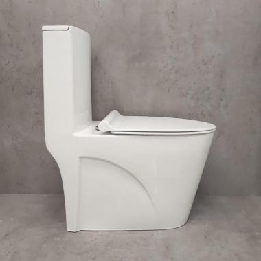 Унитаз Bloomix Mono 5012 моноблок безободковый