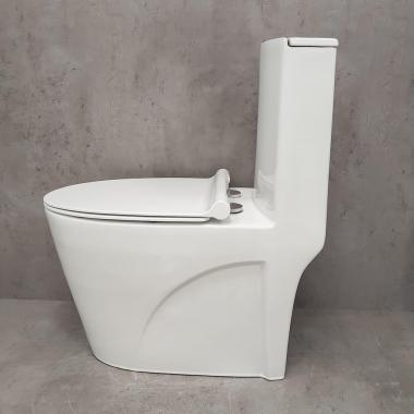 Унитаз Bloomix Mono 5012 моноблок безободковый