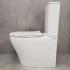 Унитаз Bloomix Rittberger AD3092TSB/F1 Ceramic+ безободковый торнадо с функцией биде и смесителем