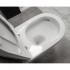 Унитаз подвесной Bloomix Altair 3.0 AD1255T/UF1 безободковый торнадо Ceramic+