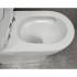 Унитаз Bloomix Barron 3.0 AD3091T/UF3cr безободковый торнадо