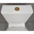 Унитаз Bloomix Barron 3.0 AD3091T/UF3gold безободковый торнадо