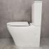 Унитаз Bloomix Barron 3.0 AD3091T/UF3gold безободковый торнадо