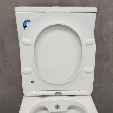 Унитаз Bloomix Salchow AD3093SB/UF1 Ceramic+ безободковый с функцией биде и смесителем