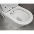 Унитаз Bloomix Salchow AD3093SB/UF1 Ceramic+ безободковый с функцией биде и смесителем
