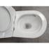Инсталляция Grohe 38971000+ кнопка смыва Even 38966SH0 белый глянец + унитаз Bloomix Trend 3.0 AD1203T/UF1 безободковый торнадо с сиденьем