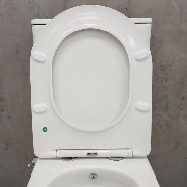 Унитаз Bloomix Rittberger AD3092RSB/F1 Ceramic+ безободковый с функцией биде и смесителем