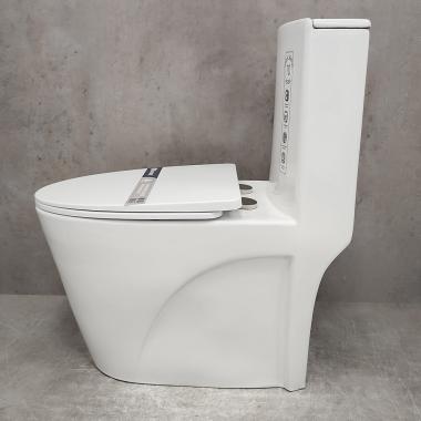 Унитаз Bloomix Mono MD5015SB моноблок безободковый с функцией биде и смесителем