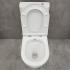 Унитаз Bloomix Barron AD3091RSB/UF1 Ceramic+ безободковый с функцией биде и смесителем