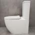 Унитаз Bloomix Major AD3089RSB/UF1 Ceramic+ безободковый с функцией биде и смесителем